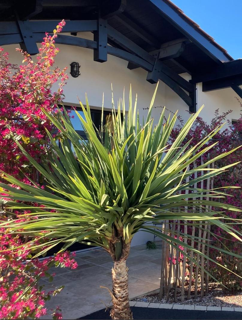 Les Lodges du Bassin d'Arcachon: Luxe Guesthouse with Gourmet Breakfast Gujan-Mestras Exterior photo